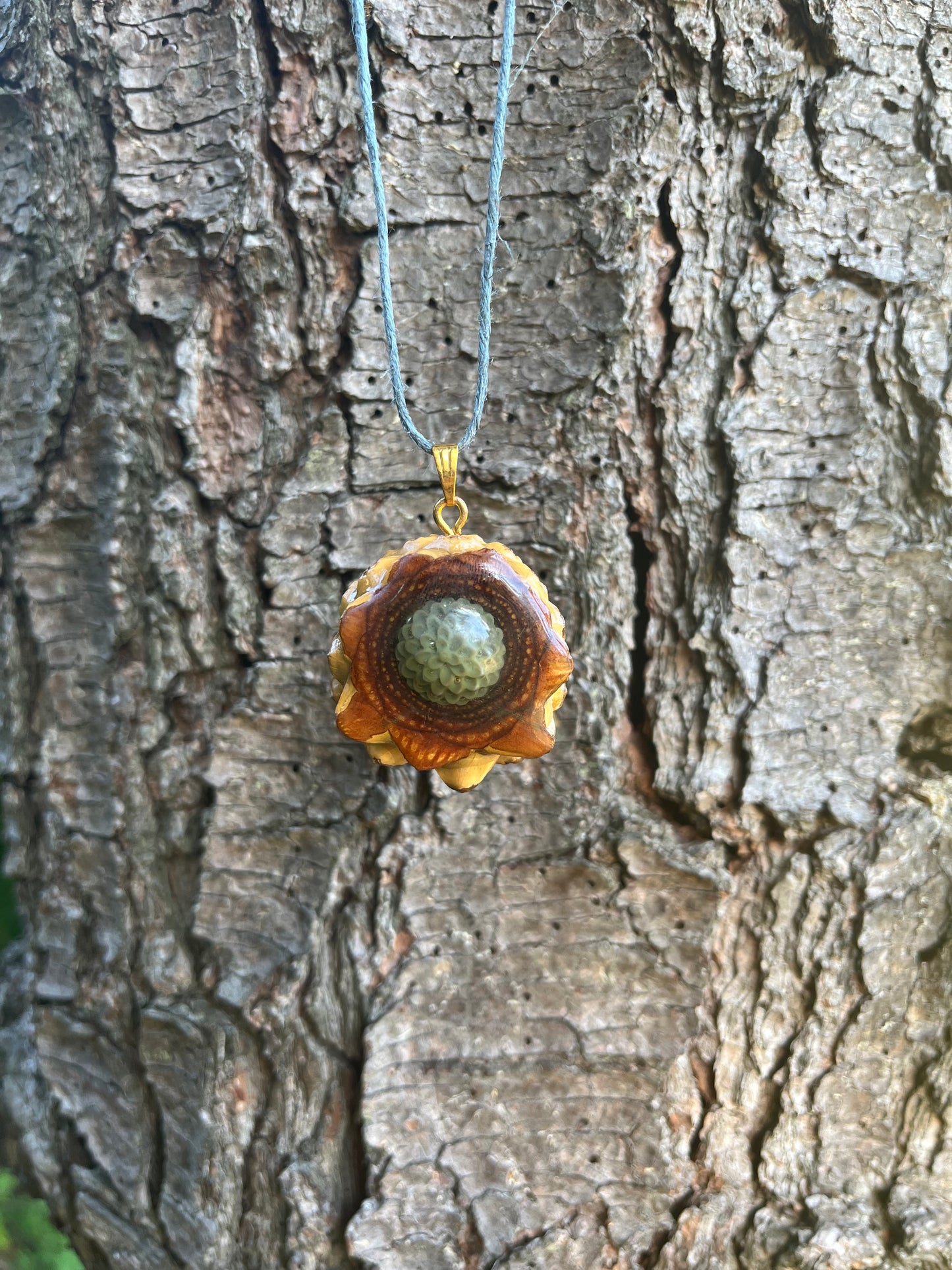 Mini Succulent Pinecone Pendant