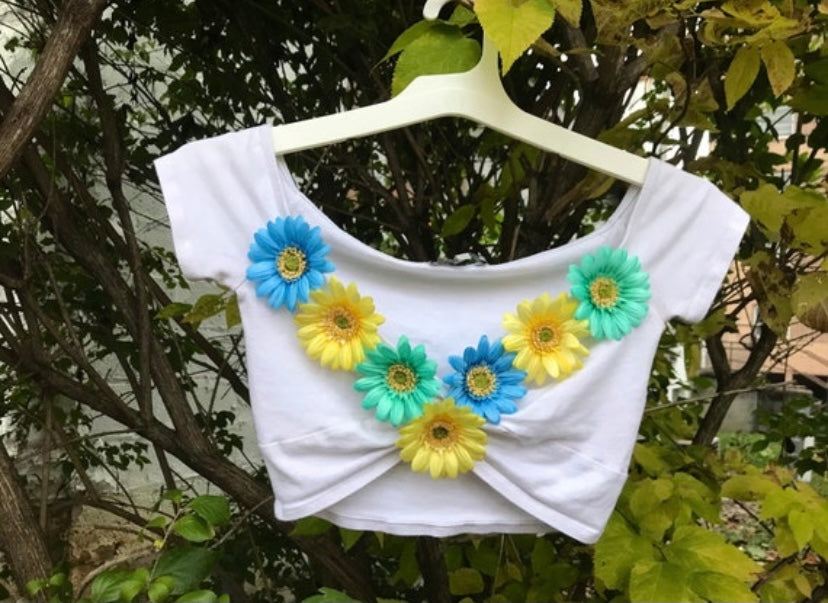 Fairy Fae Festival Crop Top